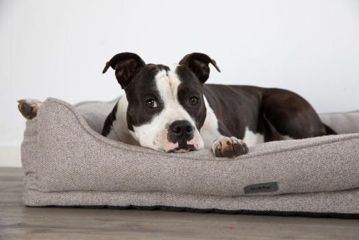Orthopädisches Hundebett Nobby Calbu - Memory Foam, Bezug abnehmbar + waschbar